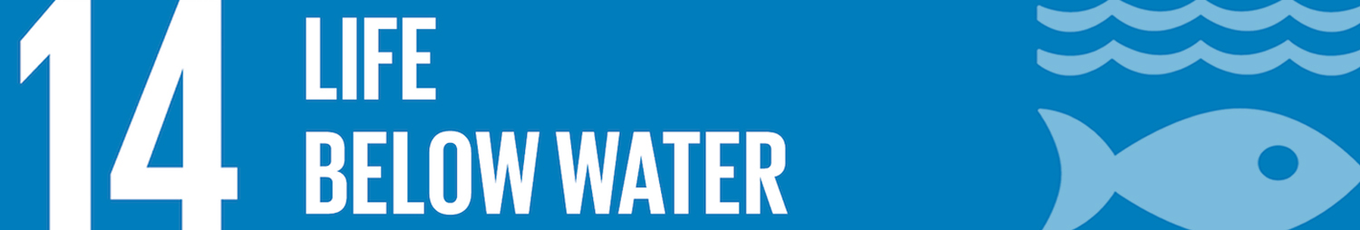 SDG2_mini banner.jpg