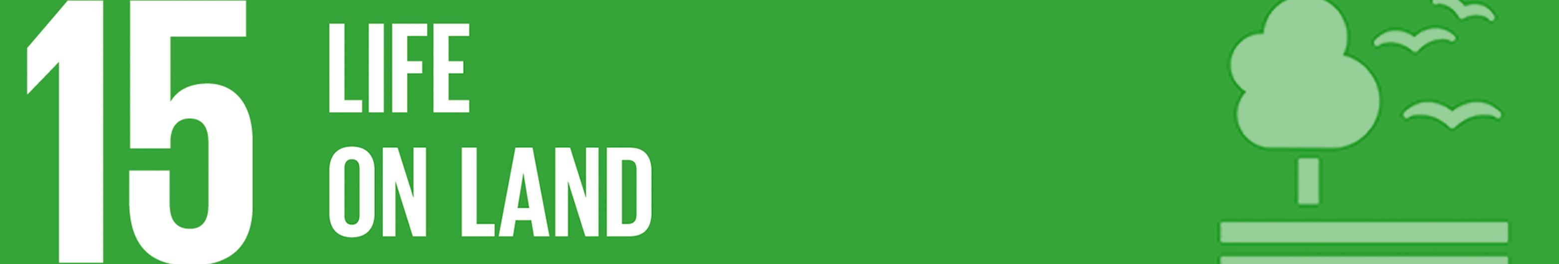 SDG2_mini banner.jpg