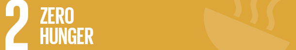 SDG2_mini banner.jpg